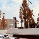 마루호텔군산점 | 군산 가성비 숙소 추천 마루호텔