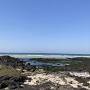 신풍여관 | 행복했었던 4월의 제주도, 좋았던 기억들만 가득했던 제주도 2박3일 여행 코스 (DAY1)