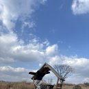 북상면사무소 | 겨울 캠핑 시작❄️☃️