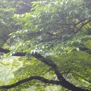 장충파출소 이미지