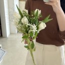 수송동로 | 군산 꽃집 추천 , 수송동식물 &#39;르모먼트&#39; 후기 !!