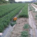 가야농원 이미지