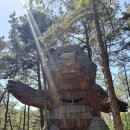 연미산자연미술공원 후기 대전 근교 공주 가볼 만한 곳 입장료 주차 소요시간 정리