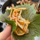 돈모닝파동점