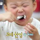 한정식 연형