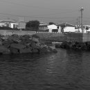 남원읍 공천포구 이미지