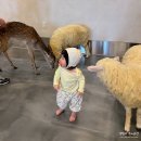 와우쥬 양산점 | 양산 와우쥬 리뉴얼 재오픈 아이와 실내 가볼만한곳