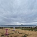 정원 | 우도정원 후기 : 팜파스와 야자수 감성 가득한 사진 명소