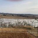 평화등대 Daum카페