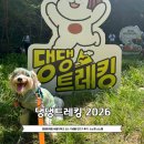 비발디 향기나무 | 2026 댕댕트레킹 비발디파크 코스 기념품 진드기 소노펫 반려견 8KM 후기