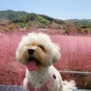 고창29펜션 이미지