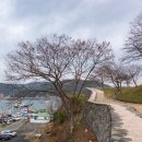 백사파출소 앞 | 보령 가볼만한곳 동백꽃 필 무렵 촬영지 수영성