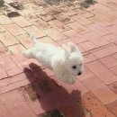 통일로 수영장 이미지