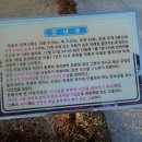 썬해영 이미지