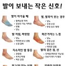 건강체조,라인댄스 | 하체운동 건강체조 걷기 바른자세 모집 라인댄스 건강체조