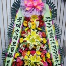 국가대표꽃배달엔플라워 이미지