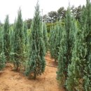 블루엔젤 하우스 이미지