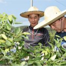 최양식농장 이미지