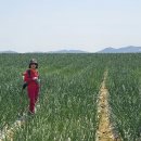 노을지는갯마을 이미지