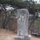 김전선생묘 및 신도비 이미지