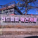 레드퍼피 | [경기도/김포]레드퍼피 애견카페 다녀온 후기(내돈내산)