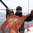서해왕낚시 이미지