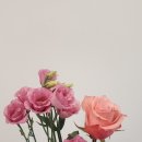 오아시스 | 제철 계절꽃 10송이 미니 꽃다발, 꽃상자로 안전하게 배달받는 법 대전 중리동 한남플라워가 책임집니다