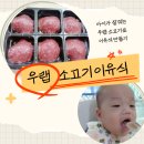 건일중기 | [이유식용소고기 우랩한우볼]우랩소고기사용후기/소고기초기이유식