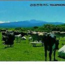 목장 이미지