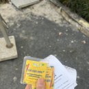 망고 | 무이네 망고비치 내돈내산 후기 자유여행 코스로 추천