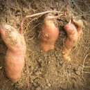 달빛민박 이미지