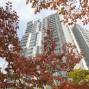 광교경남시티공인중개사사무소 이미지