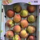 주희농장 이미지