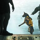 육군 군견훈련소 이미지