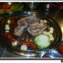 불대포 Daum카페