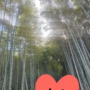 서라2차 | [일본, 오사카] 큰 딸과 함께하는 오사카 여행 (Feat. 작은 딸은 몰래 따라가요)