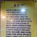 미스터꼼장어미스쭈꾸미