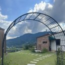 리틀 아쉬람 이미지