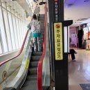 트레지오 | 미아 CGV 호퍼스 영화 후기#주차 팁