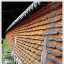 여주-0904 이미지