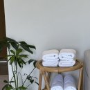 스테이 오힐 이미지