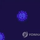 하단동1026 이미지