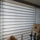 노을빛마을주공1단지 이미지