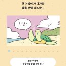 섬디자인연구소 이미지