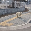 엔물류(철풍회관) | 자격 갖춘사람만 입장가능! 양주 철풍회관 군면회 후기같은 걍 일기장..^^