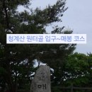 Mr.goat(미스터고트)