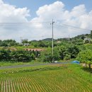 유리농원 이미지