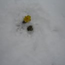 두류공원관리사무소 이미지