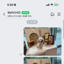 멍냥이수라간 이미지