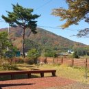 심스캐빈 이미지